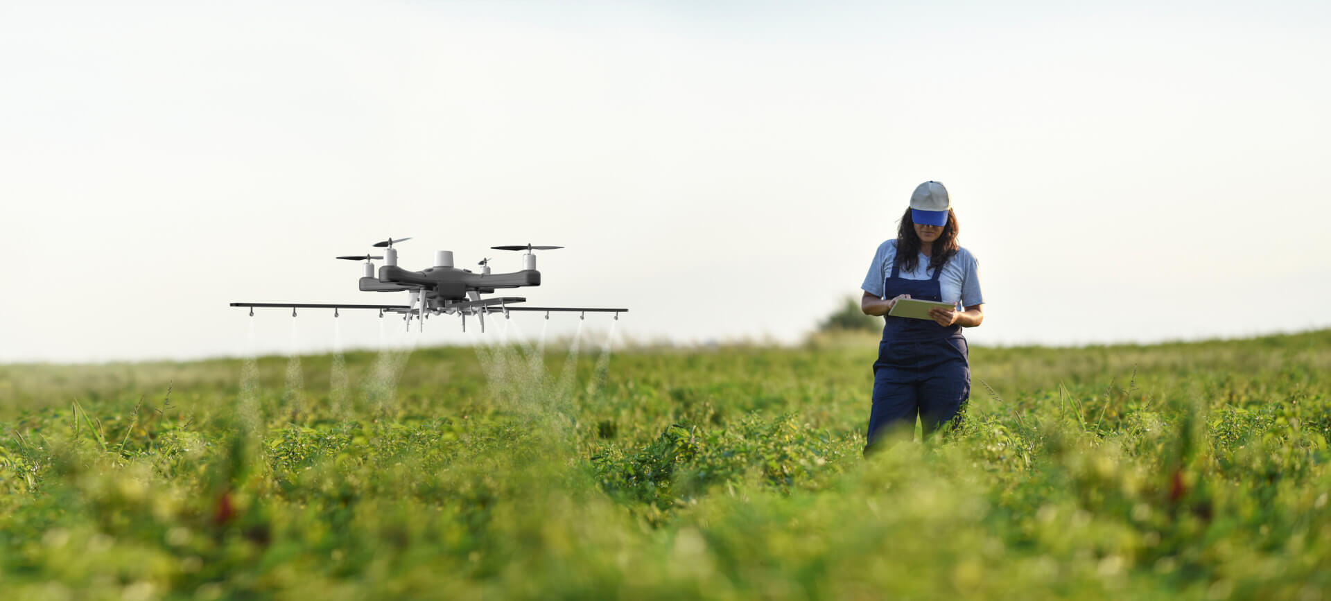 AGRI BUSINESS